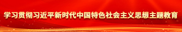 欧美艹逼学习贯彻习近平新时代中国特色社会主义思想主题教育